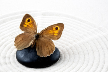 Fototapeta na wymiar Zen stone z motylem