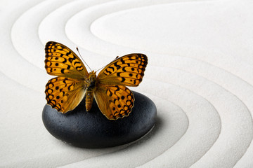Zen stone with butterfly