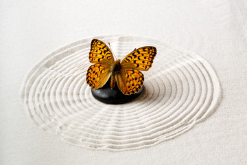 Obraz na płótnie Canvas Zen stone z motylem
