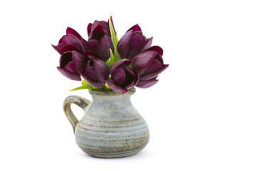 purple tulips in a vase