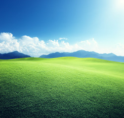 green field and mountains