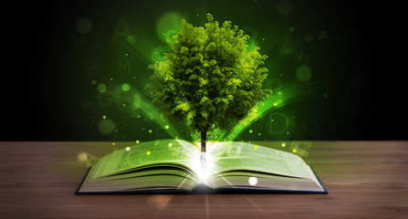 Open book with magical green tree and rays of light