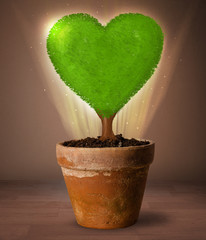 Eco heart tree coming out from flowerpot