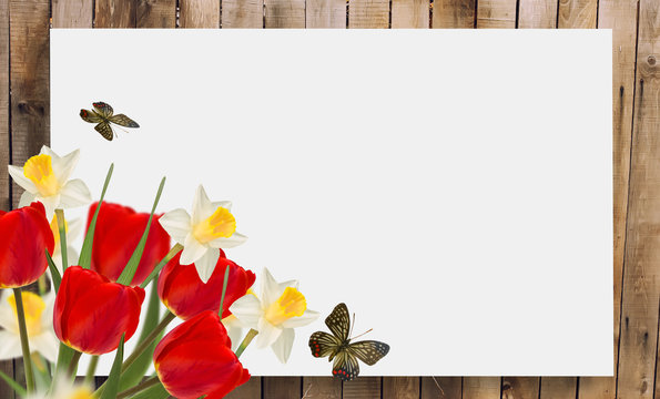 Spring background. Place for your text.