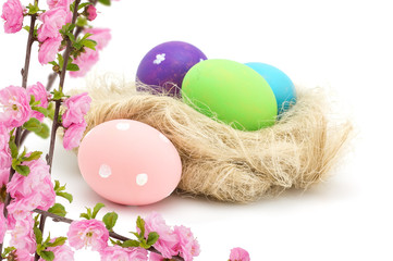 Easter eggs in nest and almond flowers isolated on white