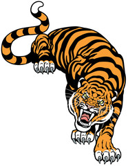 Fototapeta na wymiar angry tiger