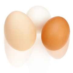 Colorful chicken eggs.