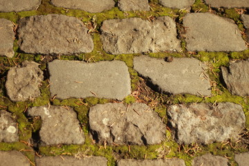 Paver stone background