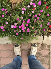 Foto op Plexiglas floral street © wachiwit