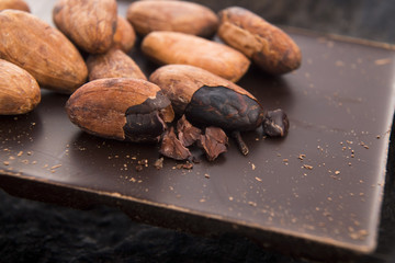 Cacao beans with milk chocolate