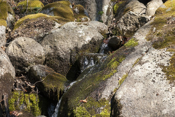 Small mountain stream between mossy moraine rocks