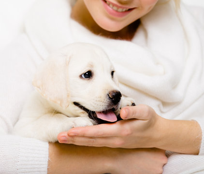 Woman in white holds white puppy of Labrador on her hands