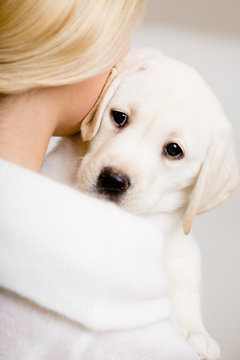 Back view of woman in white sweater embracing puppy of labrador
