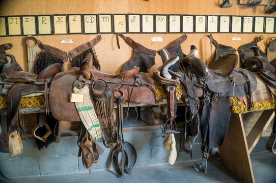 Saddles and Brands