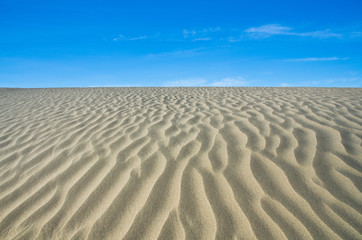 Fototapeta na wymiar Sand Dune