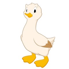 Duck Cartoon