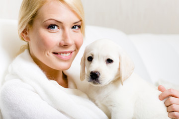 Cute puppy sitting on the hands of woman