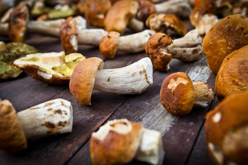 mushroom