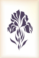 Vintage hand drawing iris vector