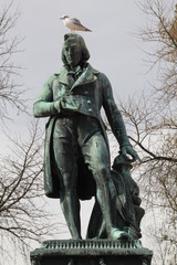 la mouette de berthollet