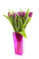 Pink Dutch tulips in vase