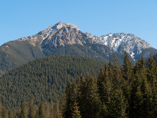 Chocholowska valley in West Tatras, Poland © wjarek
