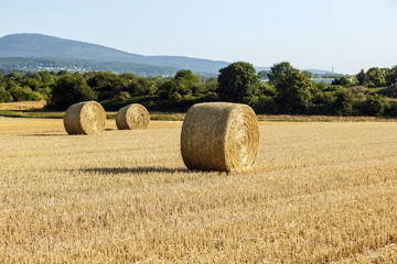 field in harvest with silo