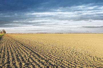 plowed field in drought, landscape, background
