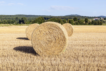 Fototapeta premium field in harvest with bale of straw