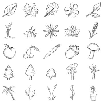 Vector Set of Sketch Plants Icons