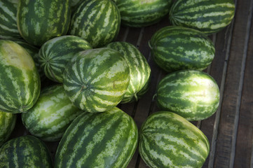Fresh Whole Watermelon Fruits Brazilian Farmers Market