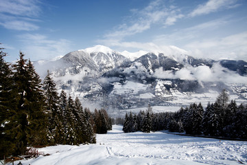 Fototapeta premium Austrian alps
