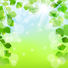 Spring background