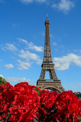 Fototapeta na wymiar Paris, France, Eiffel Tower;