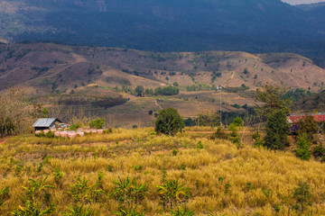 Obraz premium Farm landscape from above.