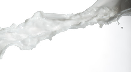 Éclaboussure de lait sur fond blanc