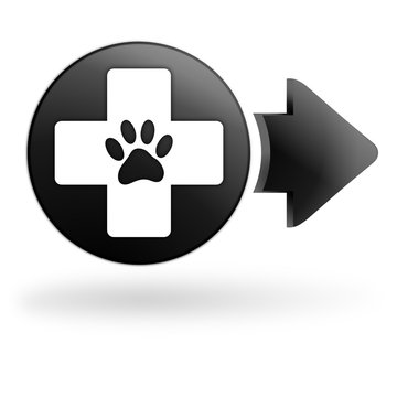 clinique vétérinaire sur bouton noir