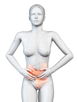 medical illustration - female having bellyache