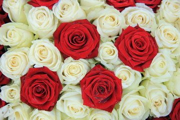 Red and white roses in a wedding arrangement