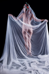 sensual girl with a transparent cloth 