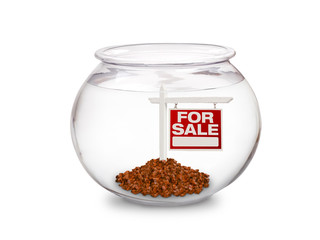 Fish Bowl - For Sale