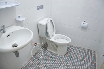 Home flush toilet toilet bowl