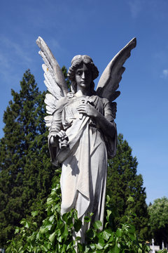 Angel at Mirogoj cemetery, Zagreb, Croatia