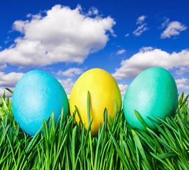 Easter eggs on grass