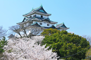 Japanese castle in wakayama