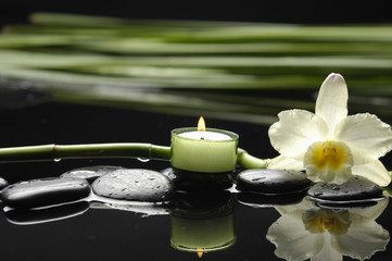 white orchid and stones with candle green bamboo leaves