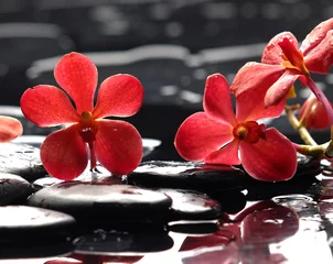 Fototapeten Stillleben mit roter Orchidee auf Kiesel © Mee Ting