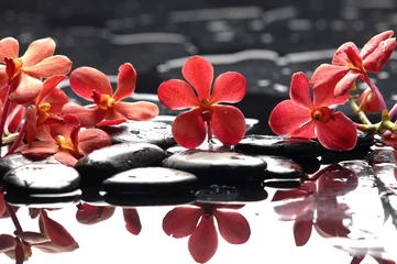 Foto op Canvas Tak rode orchidee met zen stenen reflectie © Mee Ting