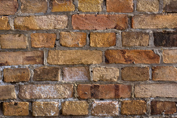 Fototapeta premium Old colorful brick wall