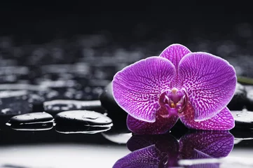 Schilderijen op glas spa concept –pink orchid with wet background © Mee Ting